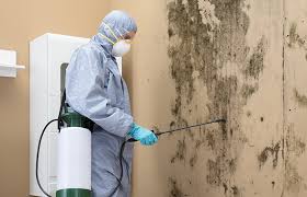 Why You Should Choose Our Mold Remediation Services in Spout Springs, NC